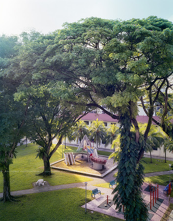 Sheltered Canopy