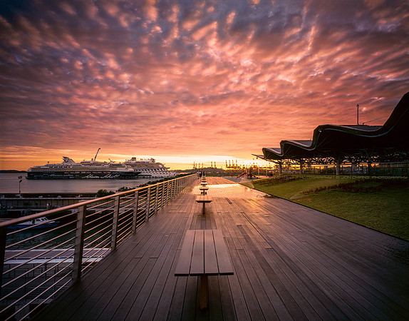 Cruise