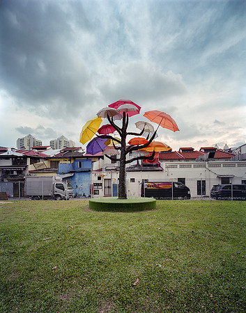 Hindoo Brollies